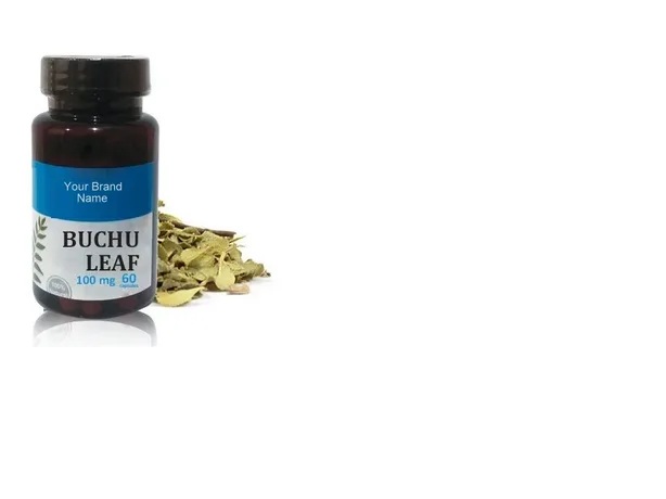 Benefits of Buchu Supplements